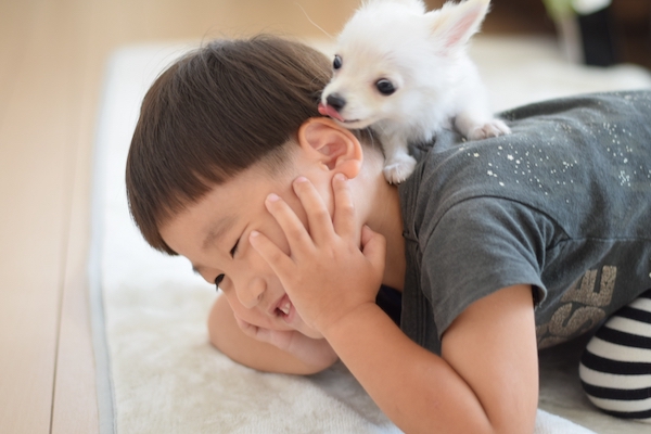 子供と犬